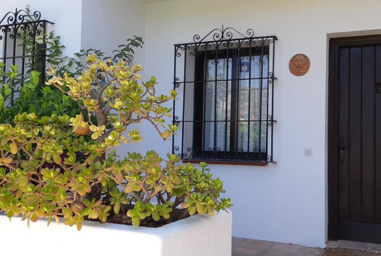 Villa Tortuga Marbella Esterno foto