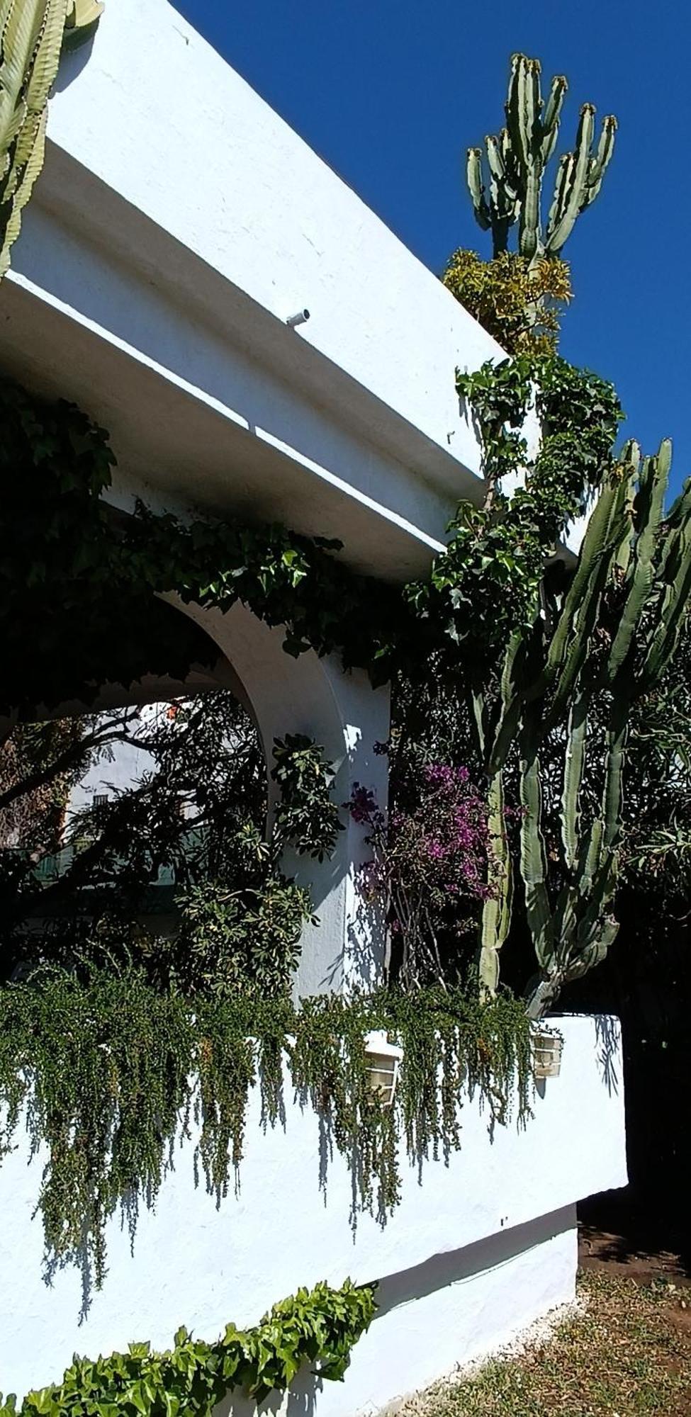 Villa Tortuga Marbella Esterno foto